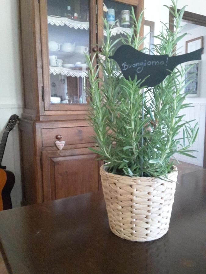 Agriturismo Cioccoleta Orvieto Bagian luar foto