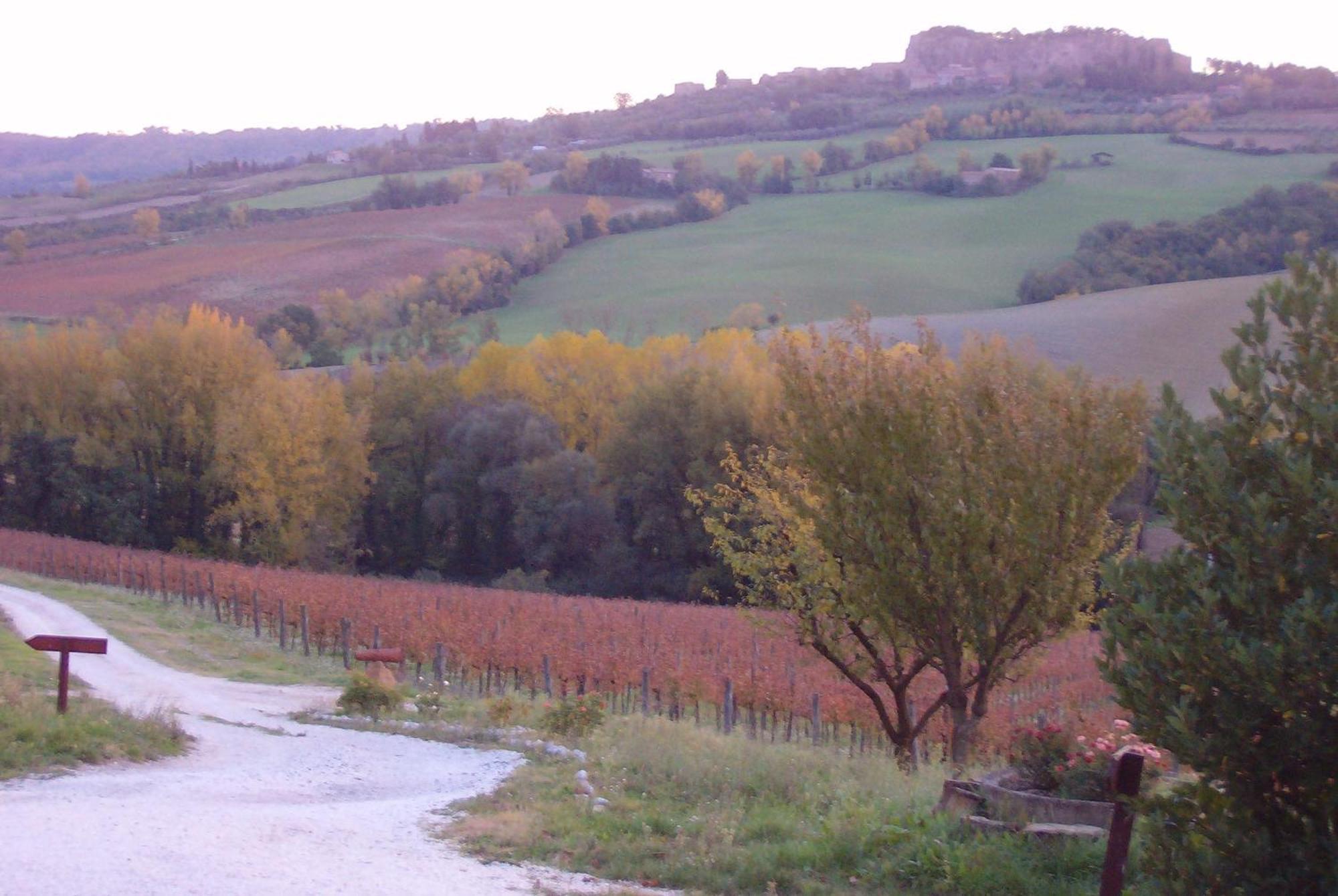 Agriturismo Cioccoleta Orvieto Bagian luar foto