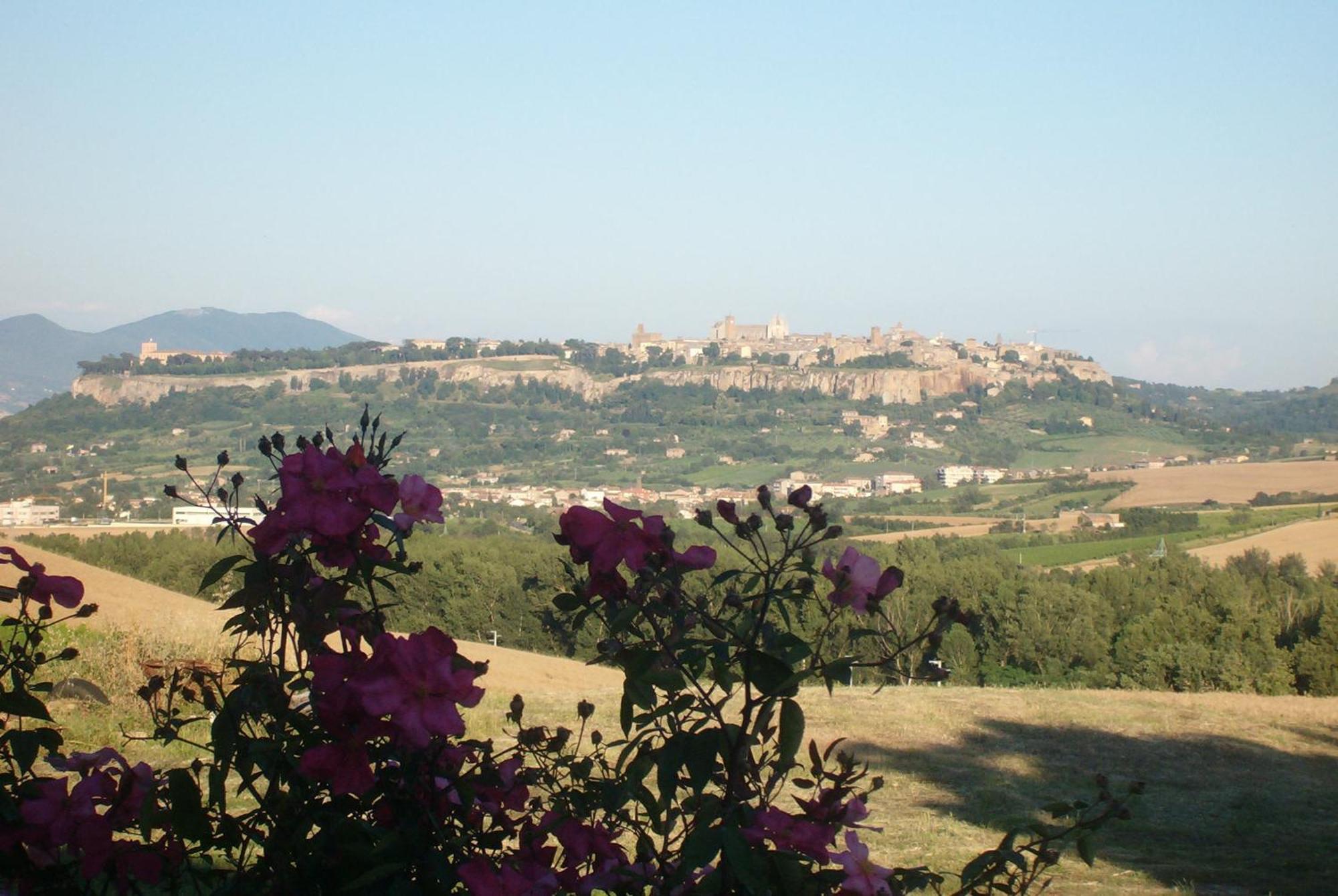 Agriturismo Cioccoleta Orvieto Bagian luar foto