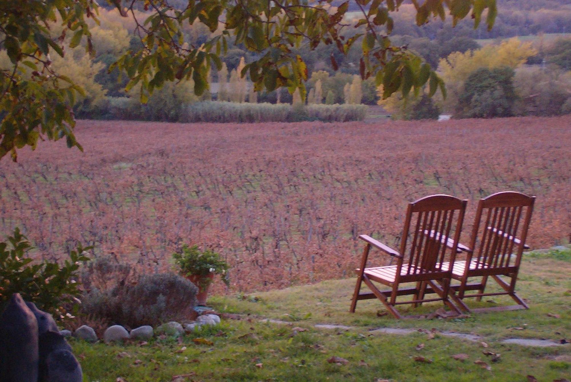 Agriturismo Cioccoleta Orvieto Bagian luar foto