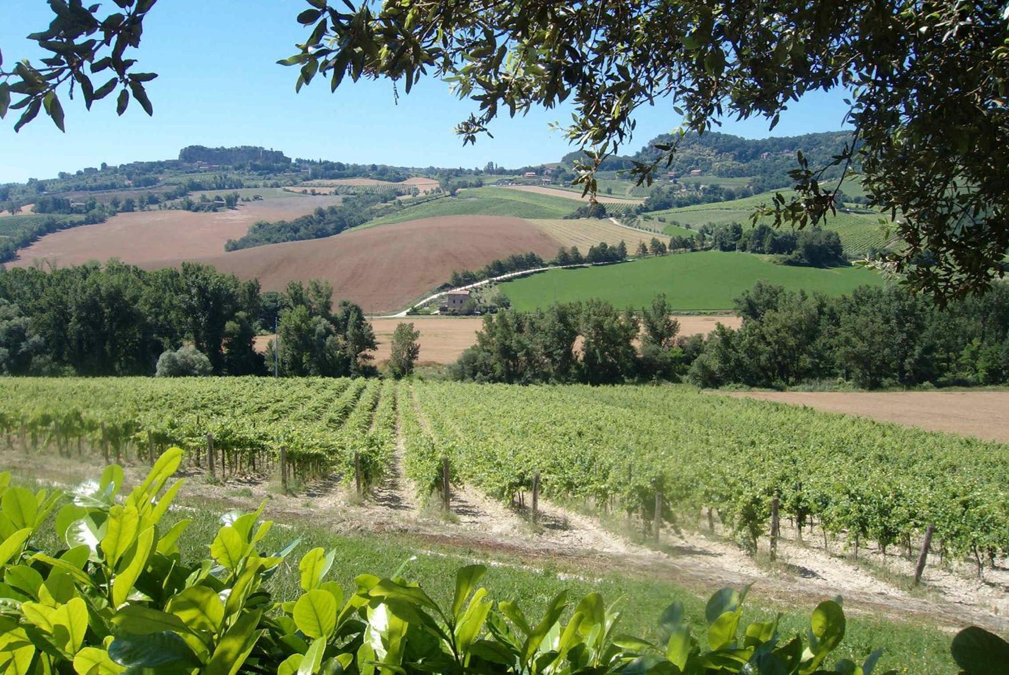 Agriturismo Cioccoleta Orvieto Bagian luar foto