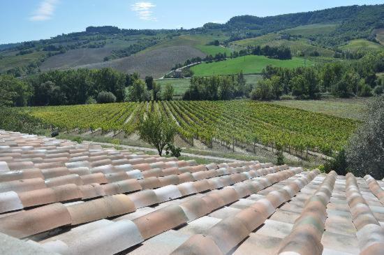 Agriturismo Cioccoleta Orvieto Bagian luar foto